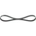 Keilrippenriemen FORD,MAZDA Elastic 1987946125