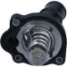 Thermostat Ford Galaxy, Mondeo Iv, S-Max 2.0 Ecoboost (10- ) Original AG9G-8575-CA