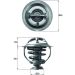 Thermostateinsatz mit Dichtung TX 117 95D