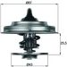 Thermostateinsatz mit Dichtung MERCEDES /8 ,PEUGEOT BEHR TX 18 79D
