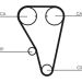 Continental CTAM Timing-Kit CT803K1 Continental CTAM Timing-Kit CT803K1