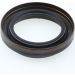 Wellendichtring, Differential 01031879B