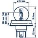 NARVA Birne 493213000