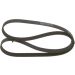 Keilrippenriemen AUDI,SEAT,VW 1987946102 Keilrippenriemen AUDI,SEAT,VW 1987946102