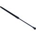 Gasfeder, Koffer-/Laderaum 12-0300