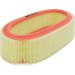 FILTRON Luftfilter AR 131/1