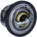 Thermostat, Kühlmittel 352317101210