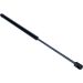 Gasfeder, Koffer-/Laderaum 12-0089