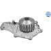 Wasserpumpe 7132200008 Wasserpumpe 7132200008