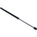 Gasfeder, Koffer-/Laderaum 12-0094