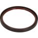 Wellendichtring Kurbelwelle 81-34301-00 Wellendichtring Kurbelwelle 81-34301-00