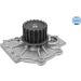 Wasserpumpe 5132200003 Wasserpumpe 5132200003