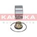 KAMOKA Radlagersatz 5600017 KAMOKA Radlagersatz 5600017