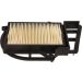 Motorluftfilter. X-Max 250 100 602 421 Motorluftfilter. X-Max 250 100 602 421