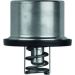 Thermostateinsatz TX 37 79