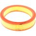 CHAMPION Luftfilter CAF100719R