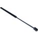 Gasfeder, Koffer-/Laderaum 12-0101 Gasfeder, Koffer-/Laderaum 12-0101