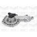 PA 650 Wasserpumpe PA650