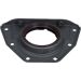 Wellendichtring Fiat 12015377B