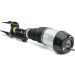 Arnott Luftfederbein VA re AS-3060 Arnott Luftfederbein VA re AS-3060