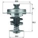 Thermostateinsatz mit Dichtung PSA, FIAT,FOR 1.9D 95 BEHR TX 67 83D