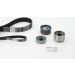 Continental CTAM Timing-Kit CT1016K2PRO