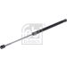 Gasfeder, Koffer-/Laderaum 30882 Gasfeder, Koffer-/Laderaum 30882