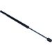 Gasfeder, Koffer-/Laderaum 12-0350