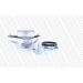 MONROE Stützlager 1Stk. VA re CITROEN,FIAT,PEUGEOT MOUNTING KIT MK308R