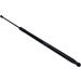Gasfeder, Hinten L 615,5 555N 756948 Gasfeder, Hinten L 615,5 555N 756948