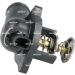 Thermostat, Kühlmittel EASY FIT 725130
