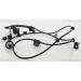 Sensor, Raddrehzahl 818014304