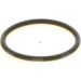 Bosch Automotive O-Ring 1410257029