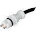 A.B.S. ABS Sensor 31893
