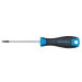 SW-Stahl Schraubendreher, T-Profil, T20 100mm 32720SB SW-Stahl Schraubendreher, T-Profil, T20 100mm 32720SB