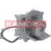 KAMOKA Wasserpumpe T0091 KAMOKA Wasserpumpe T0091