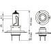 H7 12V 55W PURELIGHT 1987301012 H7 12V 55W PURELIGHT 1987301012