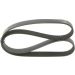 Keilrippenriemen RENAULT,BMW 1987946248 Keilrippenriemen RENAULT,BMW 1987946248