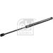 Gasfeder, Koffer-/Laderaum 31679 Gasfeder, Koffer-/Laderaum 31679