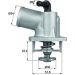 Integralthermostat mit Dichtung TI 55 92D