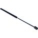 Gasfeder, Koffer-/Laderaum 12-0111