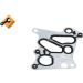 NRF Ölkühler, Motoröl 31776 EASY FIT NRF Ölkühler, Motoröl 31776 EASY FIT