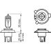 HS1 12V 35/35W PURE LIGHT BOSCH KFZ-GLUEHLAMPE Pure Light WS 1987302104