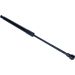 Gasfeder, Koffer-/Laderaum 12-0316