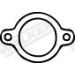 21 / Dichtung FORD Escort Kat 80055