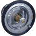 Thermostat, Kühlmittel 352317101200