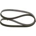 Keilrippenriemen TOYOTA,FIAT,UAZ,GAZ 1987947885