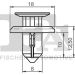 CLIP, ZIER-/SCHUTZLEISTE 75-30006.10