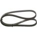Keilrippenriemen MITSUBISHI,TOYOTA,ALFA 1987948406 Keilrippenriemen MITSUBISHI,TOYOTA,ALFA 1987948406