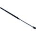 Gasfeder, Koffer-/Laderaum 12-0055